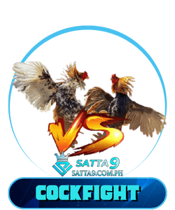 Satta9 CockFight