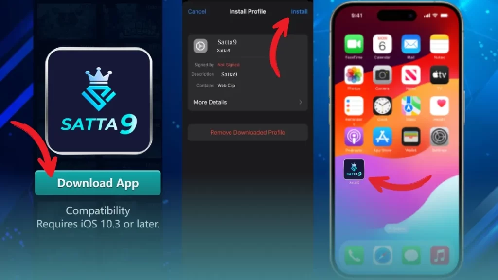 Satta9 Install App iOS
